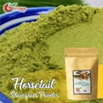 thumbnail image 5 of NY Spice Shop Horsetail Shave-Grass Powder - 08 Ounce - Horsetail Powder - Horsetail Herb - Herbs, 5 of 8