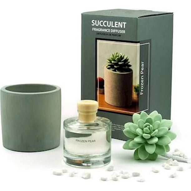FROZEN PEAR Pretty Valley Succulent Ceramic Fragrance Diffuser 100ml