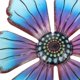 thumbnail image 4 of Flower Wall Ornament Iron Flower Decor for Decor 4Pcs Wall Hanging Set, 4 of 4