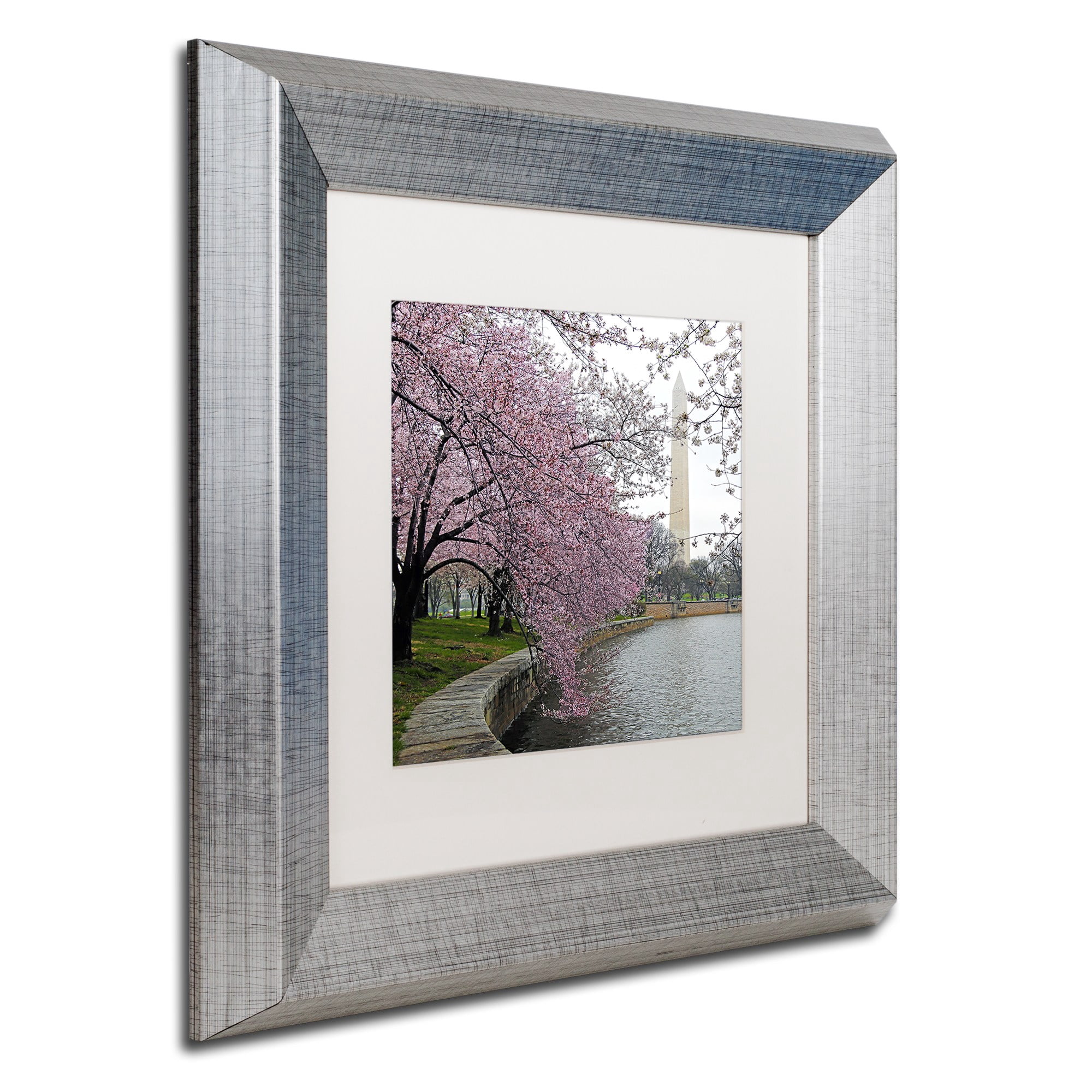 Trademark Fine Art "Washington Blossoms" Canvas Art by CATeyes, White Matte, Silver Frame