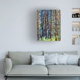 thumbnail image 2 of Trademark Fine Art Mandy Budan In A Pine Forest Canvas Wall Art - 35x47, 2 of 5