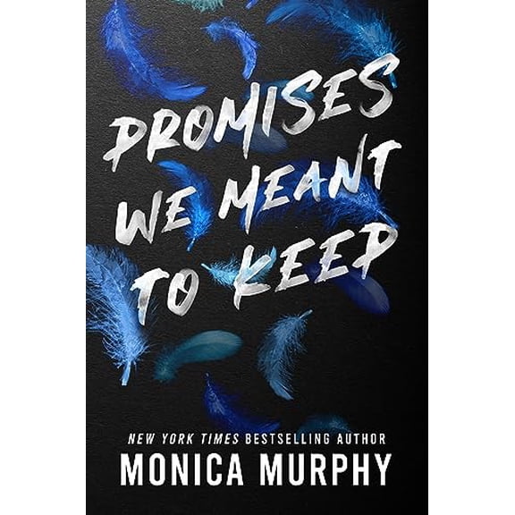 Pre-Owned Promises We Meant to Keep (Paperback) 1649376723 9781649376725