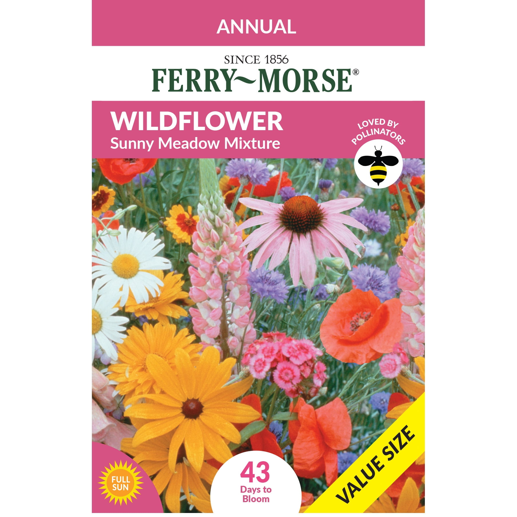 Ferry-Morse 300MG Amaranth Joseph's Coat Annual Flower Seeds, Full