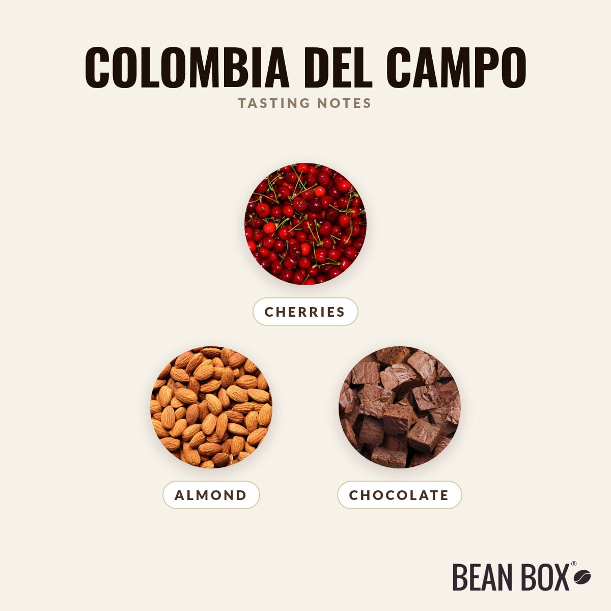 Colombia Del Campo - Roasted by Broadcast Coffee Roasters - Whole Bean Coffee - 12oz Bag