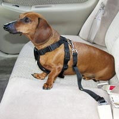 UPC: 0081159035501 | HDP Car Harness Dog Safety Seat Belt Gear Travel System Color:Black