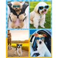 thumbnail image 2 of Decoraciones navideñas para perros pequeños, gafas de sol, protección para los ojos, protección para los ojos con correa ajustable, gafas de sol impermeables para mascotas Gafas de sol para, 2 of 5
