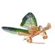 thumbnail image 5 of unbranded Para Chal Y Sombrero Con De Y Color Único, 5 of 8