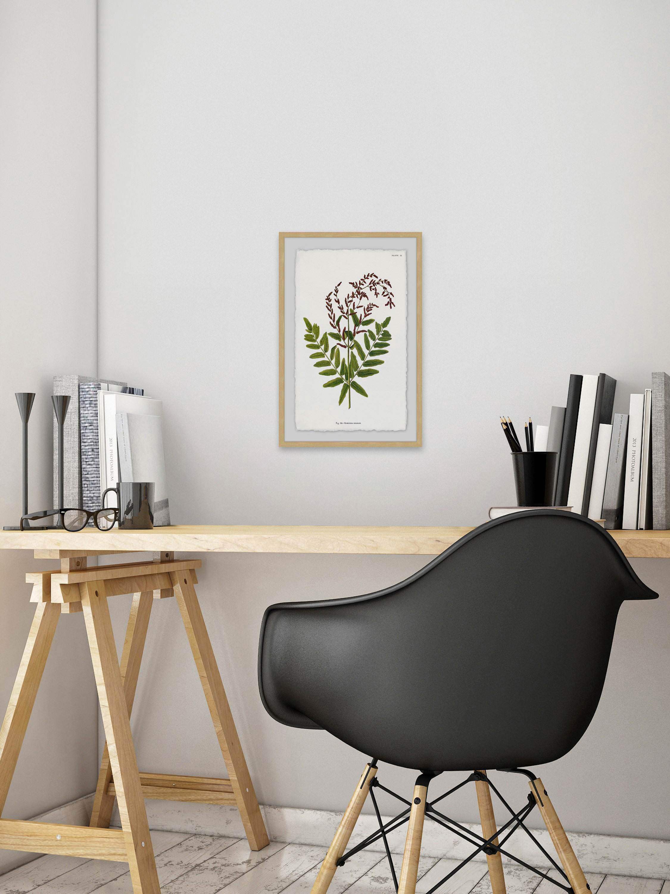 Sympathy Ferns Framed Painting Print