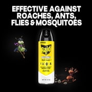 Raid Defense System Insect Killer, Indoor and Outdoor Home Defense Bug Spray for Ants, Roaches, Spiders and Flies, 15 oz