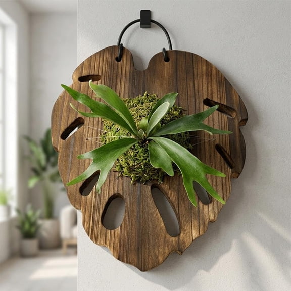 Fern Mounting Board with Pre Drilled Holes, Hexagon Wooden Plant Wall Mount, Reusable Plant Board for Antlers Ferns Monstera, Hanging Plants Holder