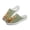 Capybara Daisy Print, variant on Chririnla Unisex Breathable Mesh Slip On Clogs | 3D Dachshund Dog Print | Lightweight Comfortable Summer Walking Shoes