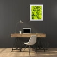 thumbnail image 3 of Grayscale 12x14 White Modern Wood Framed Museum Art Print Titled - Natural Fractals III, 3 of 4