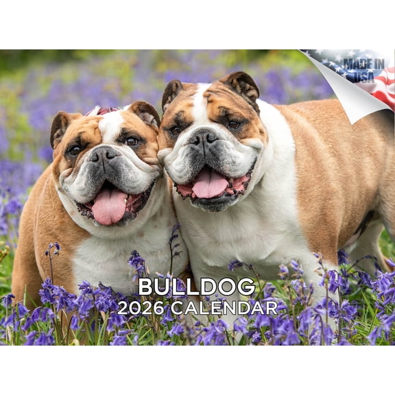 2025 2026 Bulldog Calendar - Dog Breed Monthly Wall Calendar - 12 x 18 Open - Thick No-Bleed Paper - Giftable - Made in USA