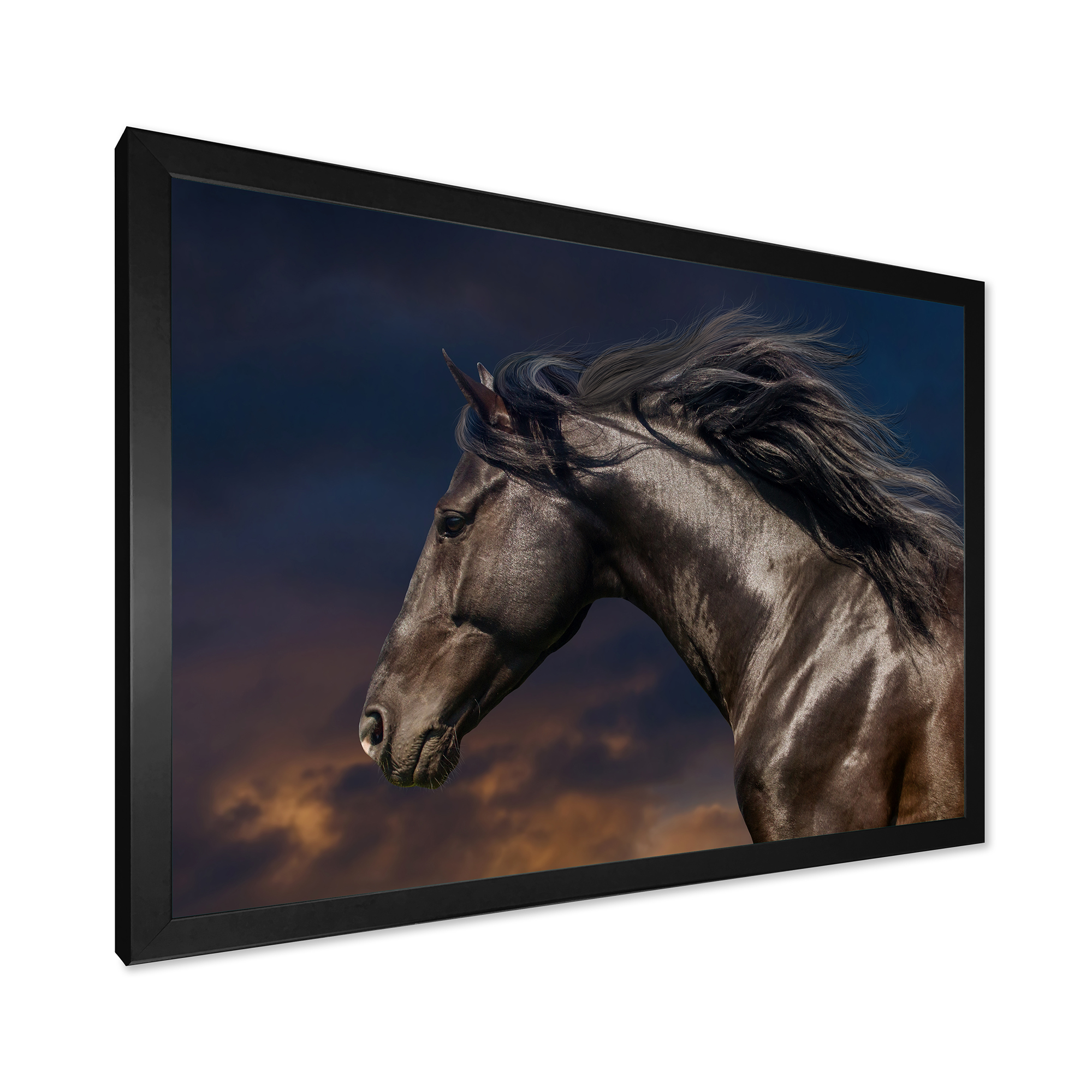 Designart 'Close Up Of Thoroughbred Nonius Stallion Horse III' Farmhouse Framed Art Print