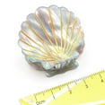 thumbnail image 4 of Jaw Clip Mini Creative Shell Fashion Non-Slip Claw Clip Hair Clamp for Girls, 4 of 5
