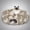 Brown, variant on Cat Tunnel Bed With Soft Cushion  Toys For Indoor Cats Enhance Bonding Between Pets And Owners Encourage Exploration Satisfy Instincts Kittens Dogs Rabbits