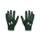 thumbnail image 1 of Under Armour Guantes de béisbol Clean Up para niño (301) Verde bosque/Verde bosque/Blanco Grande, 1 of 1
