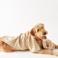 thumbnail image 4 of Design Imports Serviette pour Animaux Imprimée Treillis Patte Taupe, 4 of 4