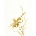 thumbnail image 2 of Paschke, Chris 12x14 Gold Ornate Wood Framed with Double Matting Museum Art Print Titled - Sumi Daylily IV Gold, 2 of 4