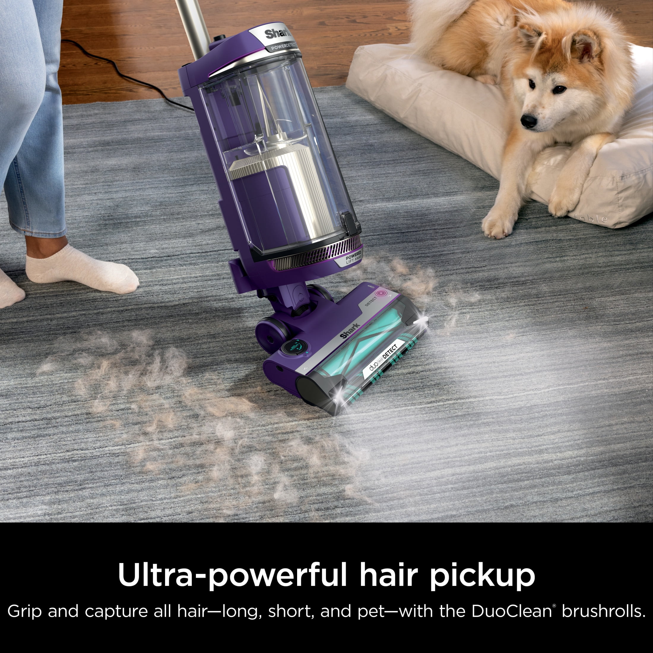 Shark PowerDetect Upright Vacuum, Pet Friendly, DuoClean Detect Technology, Self-Cleaning Brushroll, Purple AZ4002