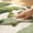 Green A, variant on AuroraX Bathroom Rug Non Slip Washable Green Quick Dry Absorbent Bath Rugs for Bathroom Floor Home Entrance Rug Indoor