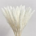 thumbnail image 3 of 30PCS Dried Pampas Grass Plumes Decoration,Natural Dried Lagurus Ovatus,17 Inch Tall Natural Dried Flowers,Faux Reed Flower Stems Bunch for Flower Arrangements Wedding Home Decor, 3 of 7