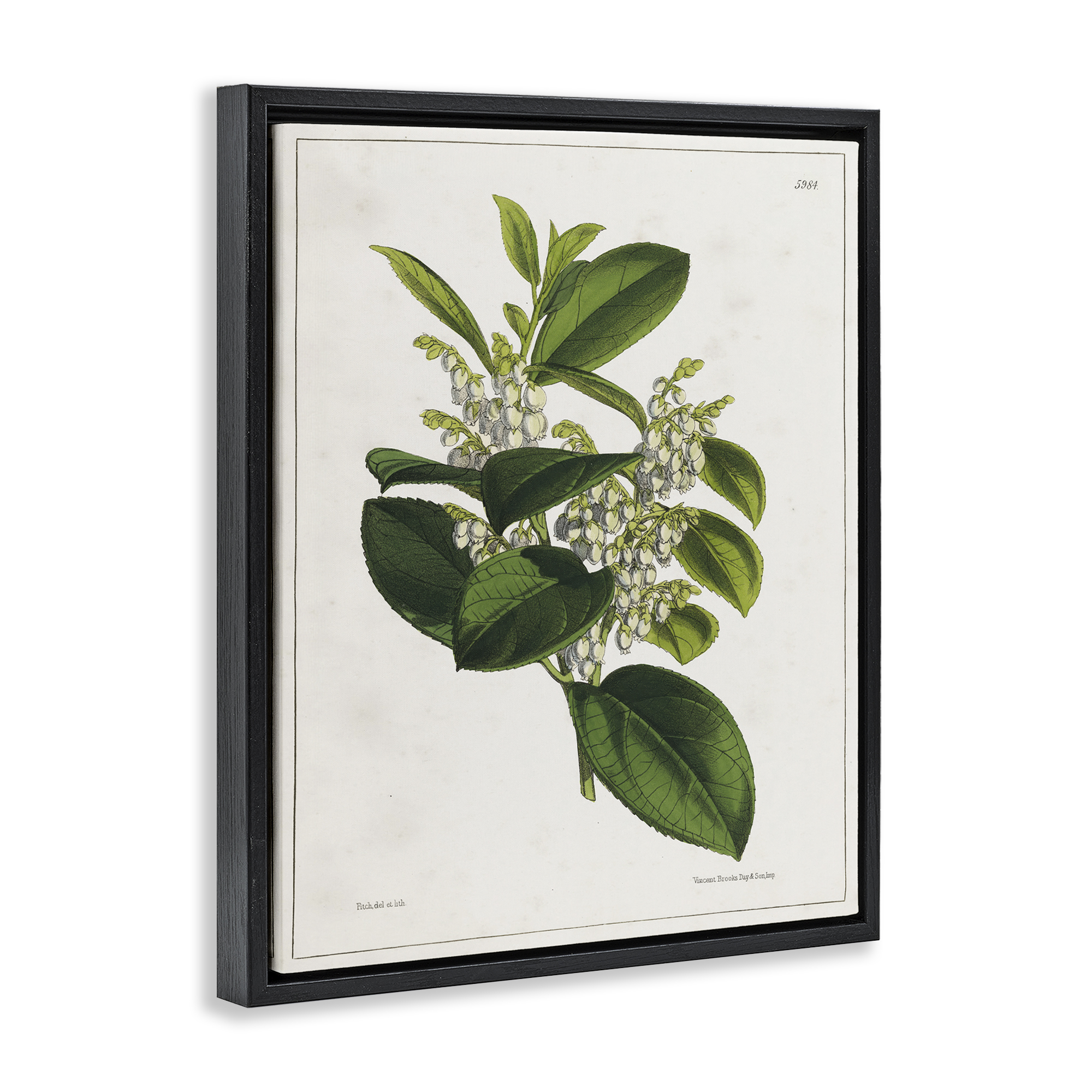 Stupell Industries Forest Nature Botanical Plants & Flowers Painting Black Floater Framed Canvas Art Print Wall Art, 25 x 31