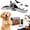 1pcs, variant on Flying Bat, Flying Bat Dog Toy with Flapping Wings and Chirping Sounds for Dogs and Indoor Cats