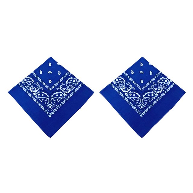 Toystoory Pañuelo de poliéster Bufanda cuadrada de moda Paisley Diadema con patrón Pañuelo Accesorios multifuncionales Regalos Azul Azul 2piezas Toystoory CBP263054