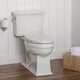 thumbnail image 3 of Asiento de inodoro Bemis Alesio con bisagras cromadas de cierre lento, color blanco, 3 of 9