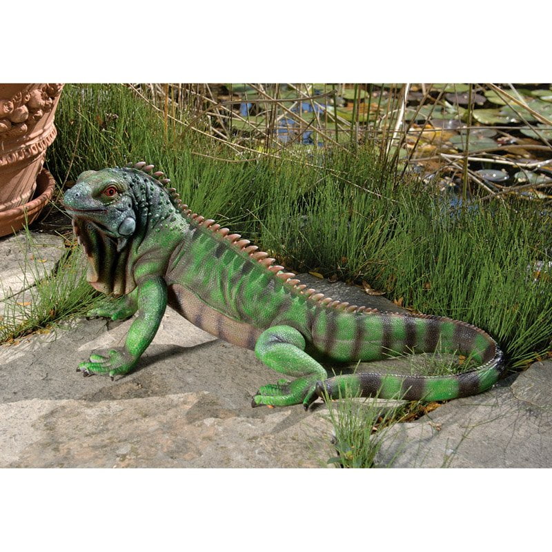 Design Toscano Iggy the Iguana Garden Statue by Design Toscano