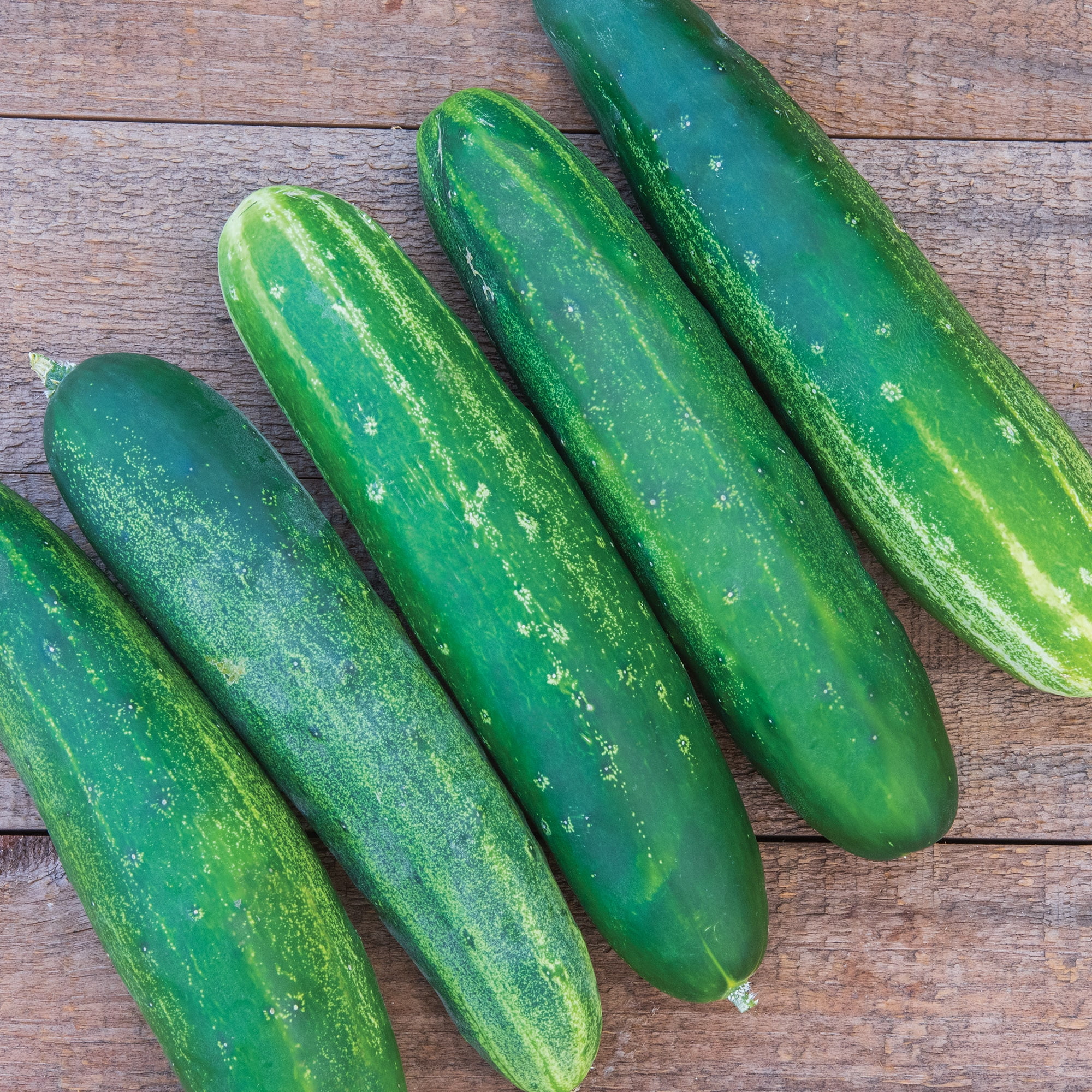 Burpee Heirloom Vegetable Garden Starter Garden Vegetable Seed Collection, 1-Pack