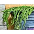thumbnail image 5 of Natural Touch Weeping Cedar Garland 48 x 27 Inches, 5 of 8