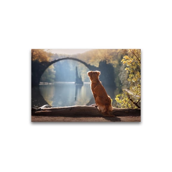 Dog Gazing At Scenery Poster -Image by Shutterstock