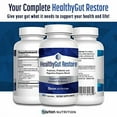 thumbnail image 3 of HealthyGutSupport+ - Gut Health and Immunity Support with Prebiotics, Probiotics and Digestive Enzymes for Digestion and Absorption - 60 Doctor-Formulated Stomach Health Capsules, 3 of 6