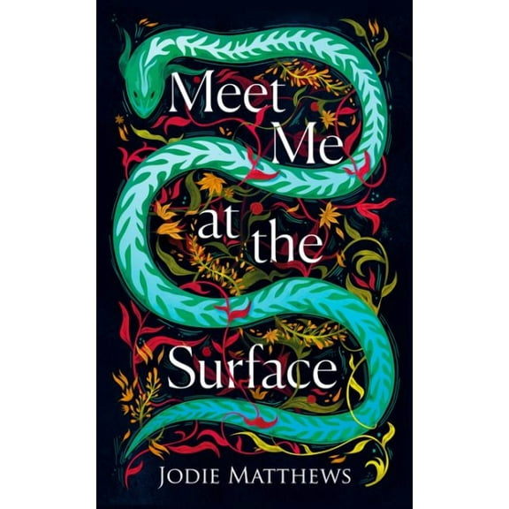 Meet Me at the Surface: A haunting literary debut