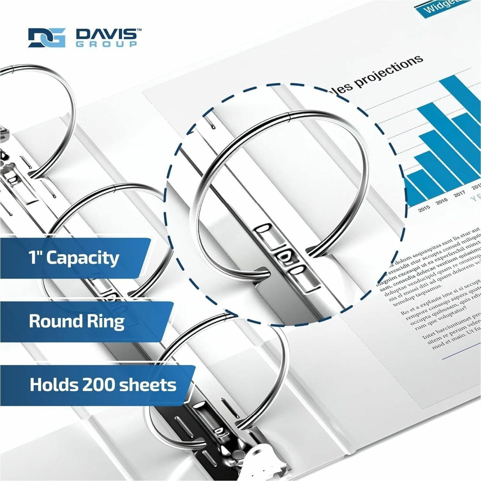 Davis Group Premium Economy, Round Ring, Binder, 6 Pack (White, 1")