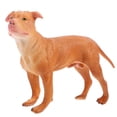 thumbnail image 1 of Miangastore Simulation Dog Model Plastic Dog Model Simulation Animal Educational Model Simulation Puppy Model, 1 of 9
