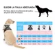 thumbnail image 5 of Pecheras Para Perros Con Correa Y Cinturón De Seguridad, 5 of 8