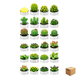 thumbnail image 1 of 24pcs Velas Cactus Aromaticas Suculento Decorativas Belug, Blanco, 1 of 5