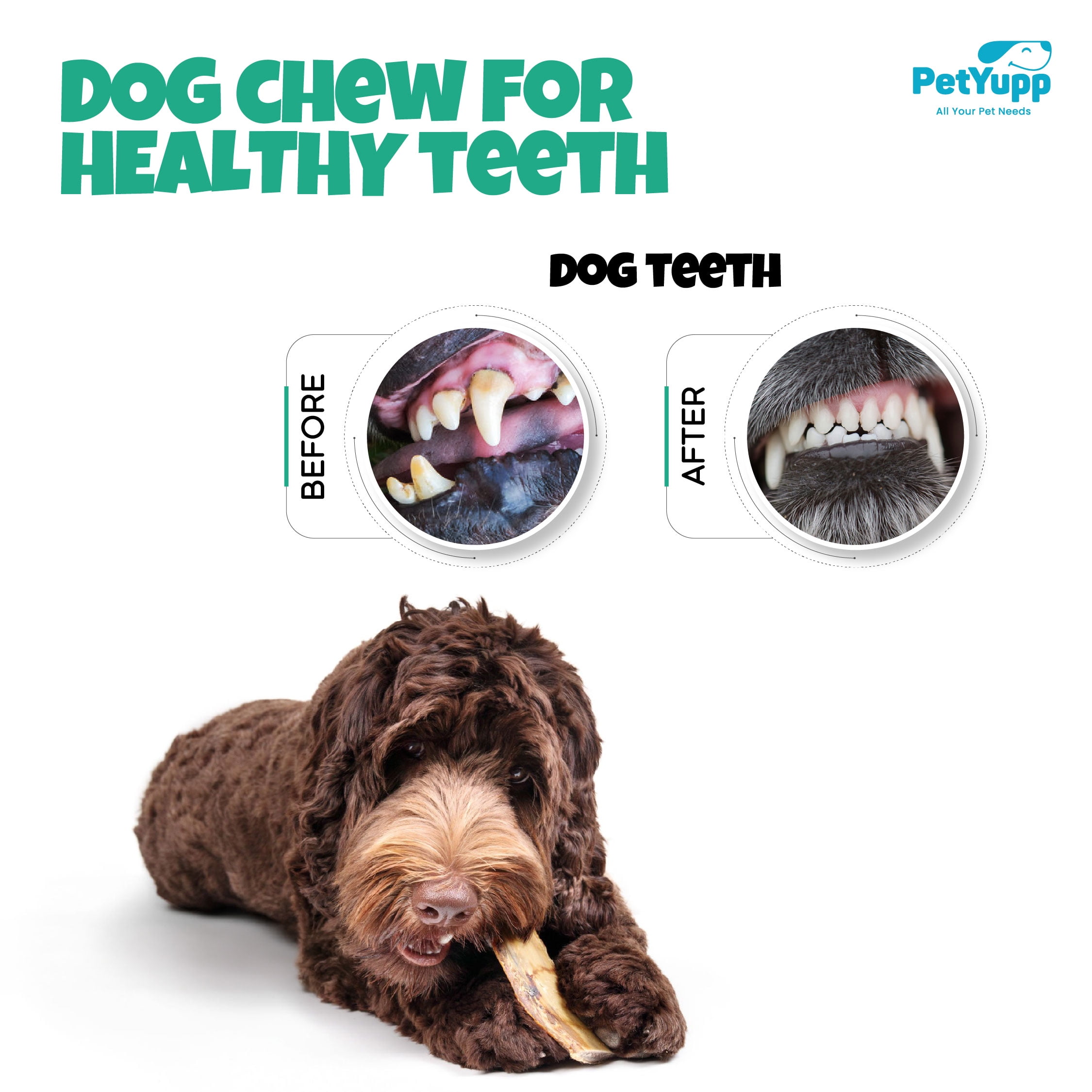 PetYupp Beef Rib Bones for Dogs, 25 Count