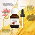 thumbnail image 4 of XWSHYW Productos de Salud Cyperus Rotundus Aceite Cyperus Rotundus Aceite Reductor Corporal 60Ml, 4 of 5