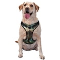 thumbnail image 1 of Balery Green Forest Dinosaur Arnés para Perros Grandes Antitirones, Arnés con Correa para Gato, Arnés Tipo Chaleco para Perros Pequeños-Large, 1 of 6