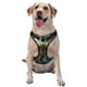 thumbnail image 1 of Balery Green Forest Dinosaur Arnés para Perros Grandes Antitirones, Arnés con Correa para Gato, Arnés Tipo Chaleco para Perros Pequeños-Large, 1 of 6