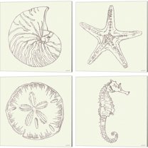 Great Art Now Coastal Breeze Shell Sketches Silver A by Anne Tavoletti 4 Piece Canvas Art Set Each 14W x 14H