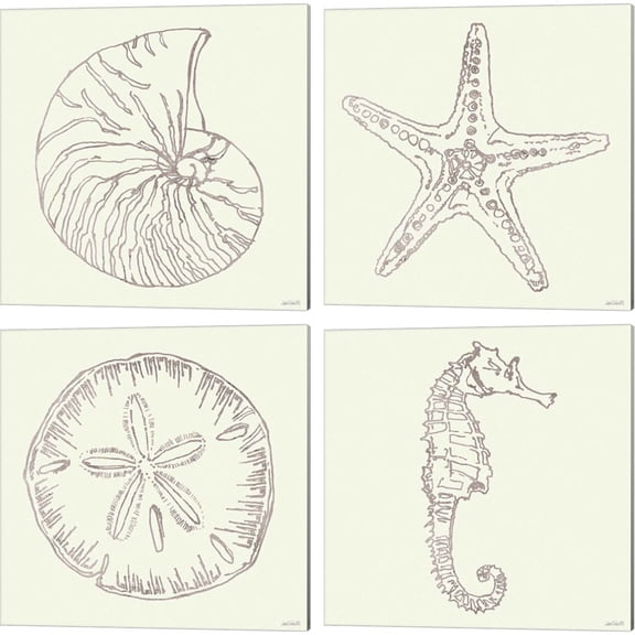 Great Art Now Coastal Breeze Shell Sketches Silver A by Anne Tavoletti 4 Piece Canvas Art Set Each 14W x 14H