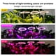 thumbnail image 5 of Ounissouiy Invernadero USB IP20 Control de línea a prueba de agua LED Grow Light Flor de interior Suculenta Temporizador Lámpara de cultivo de plantas Jardín y Patio  1 cabeza de luz solar, 5 of 6