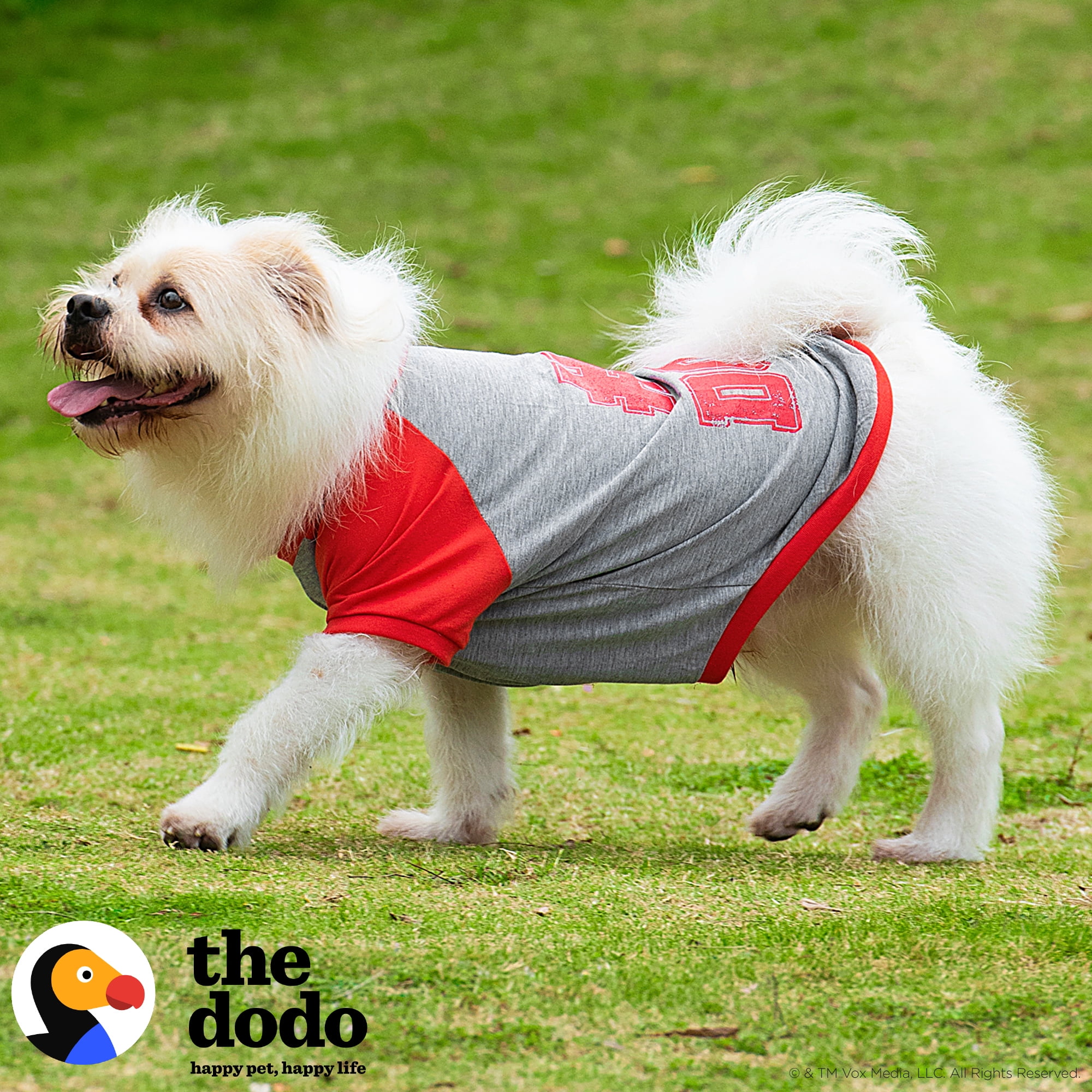 The Dodo: Retro #1 Dog T-Shirt -Medium