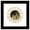 Black Framed Version, variant on Gallery Pops The Lord of the Rings: War of the Rohirrim - Middle Earth Knows The Tale Wall Art, Unframed Version, 12" x 12"