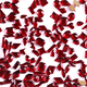 thumbnail image 1 of Arte de uñas de diamantes de forma especial plana, colgantes de cuentas de cristales de diamantes de diamantes de imitación Namotu CPB-US-CJZ371-3, 1 of 5